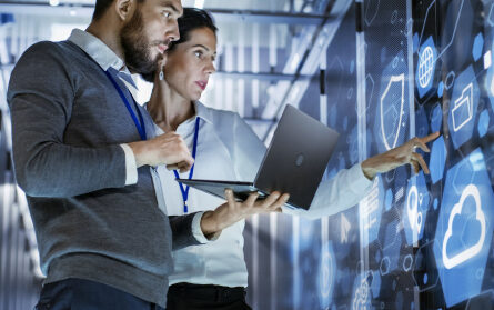 Professional-Services