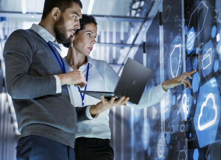 Professional-Services